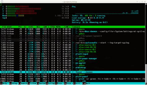 Linux Htop