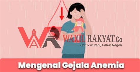 Mengenal Gejala Anemia Pada Remaja Wakilrakyat