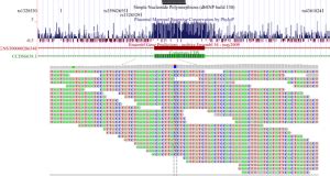 whole-exome sequencing | RNA-Seq Blog