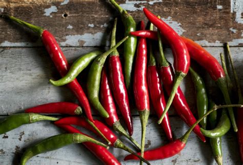 Fact Check Can Cayenne Pepper Heal Stomach Ulcers Thip Media