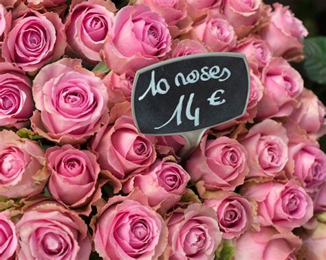 Paris Roses Photography Pink Roses in Parisian Flower - Etsy