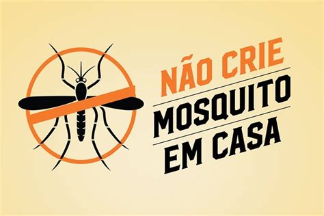 Alta Incid Ncia De Dengue Coloca Munic Pios Da Grande S O Paulo Em