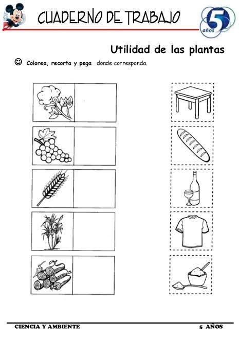 Pin by Sandy Karina Benavente Málaga on Plantas Recycling facts