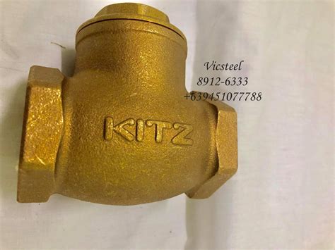 Kitz Swing Check Valve Vicsteel