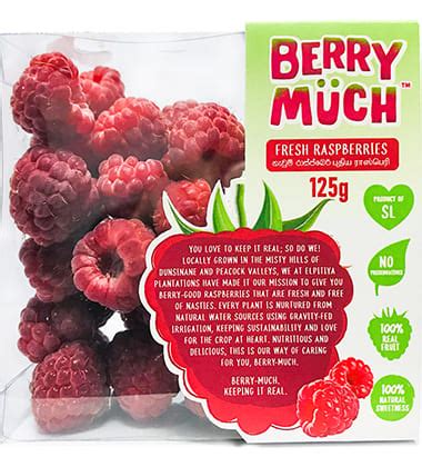 fresh raspberry elpitiya plantations pioneer  agriculture