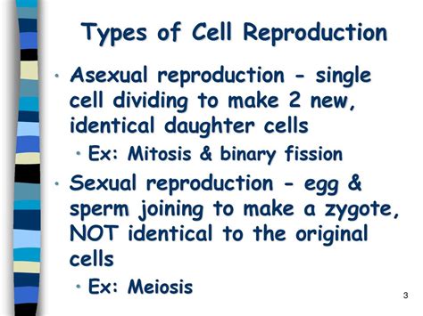 Cell Growth And Division Ppt Download