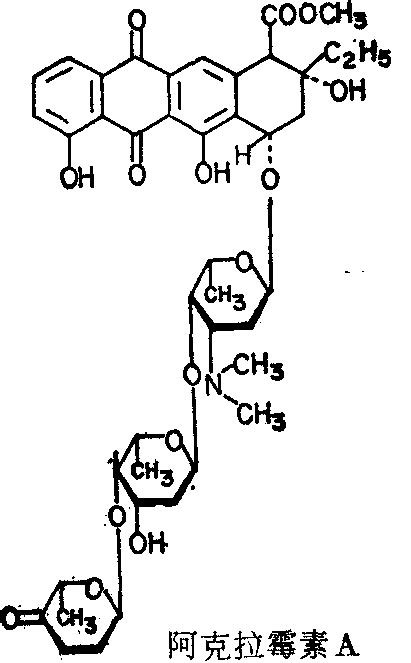 蒽环类抗生素 药物药理学 医学