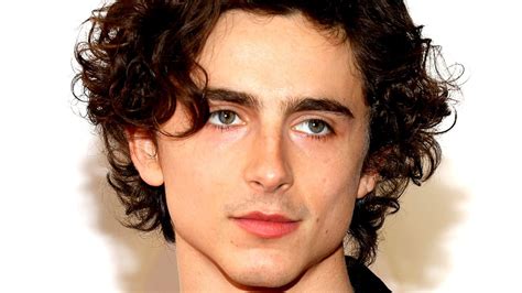 Timothée Chalamet Interstellar Jorgereilie