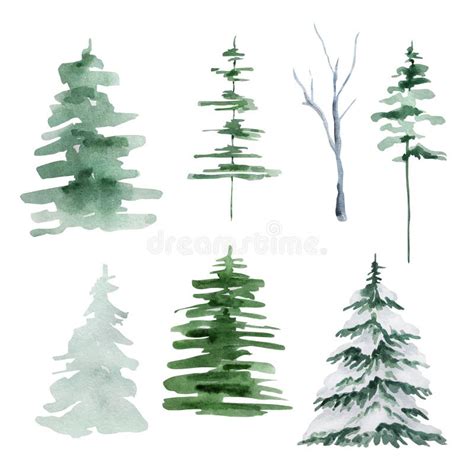 Watercolor Winter Illustration Fir Trees Pines And Tree Stock Vector Illustration Of Vector