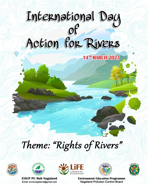 International Day Of Action For Rivers March Poster