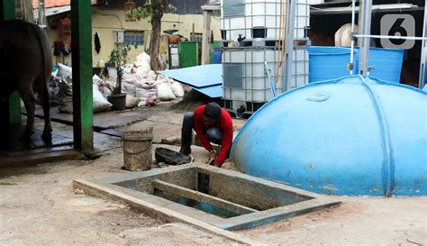 Pemanfaatan Limbah Kotoran Sapi Jadi Biogas Untuk Rumah Tangga Dan