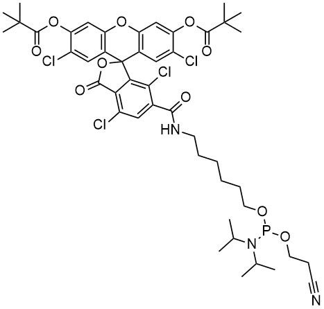 Phosphoramidites For Oligonucleotide Synthesis Boc Sciences