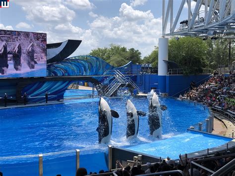 MidwestInfoGuide: Sea World Orlando - Shows