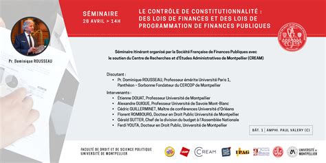 Le Contr Le De Constitutionnalit Des Lois De Finances Et Des Lois De