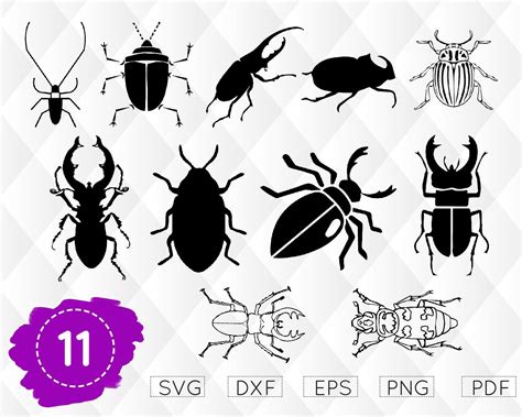 Bug Clip Art Beatle Svg Wings Svg Insect Clip Art Scarab Svg Insect Svg