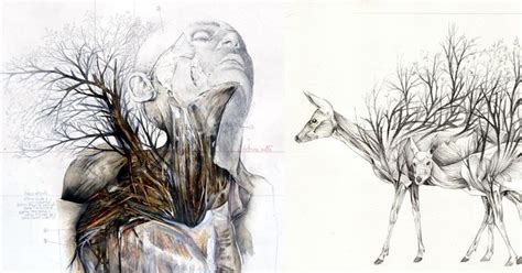 Nunzio Pacis Graphite And Oil Paintings Merge Nature And Anatomy