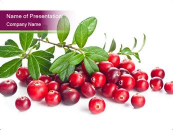 Healthy Cranberry Powerpoint Template Backgrounds Google Slides Id