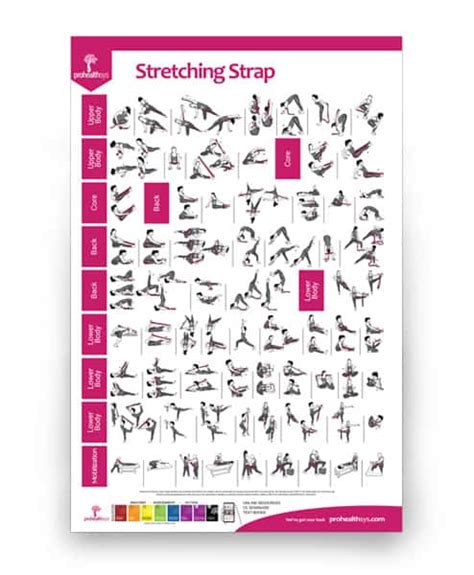 Stretching Exercises Poster