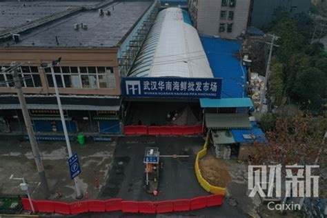 Another Study Claims Wuhan Seafood Market May Not Be Source of Covid-19 ...