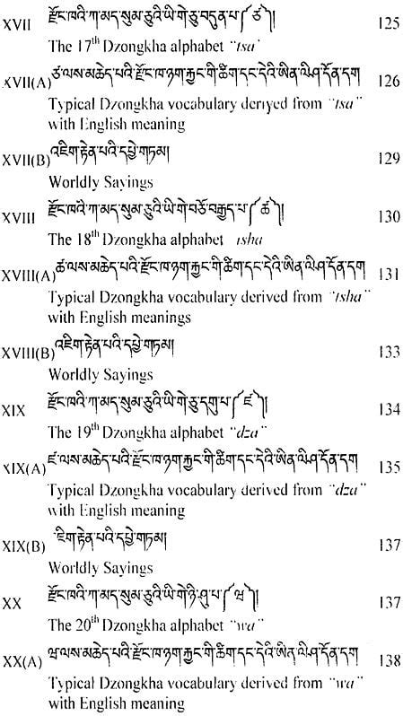 The Light of Dzongkha and English Combination | Exotic India Art