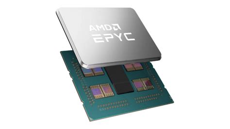 Amd Epyc Milan X Cpus With D V Cache Now Official