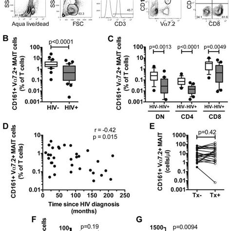 MAIT Cells Are Depleted In The Peripheral Blood Of Chronically