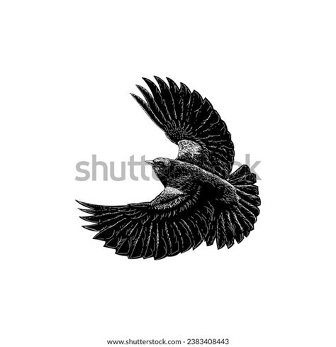 Redwinged Blackbird Hand Drawing Vector Isolated Stock Vector (Royalty ...