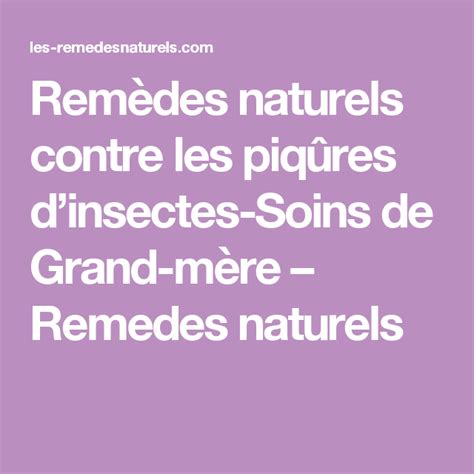 Remèdes naturels contre les piqûres dinsectes Soins de Grand mère