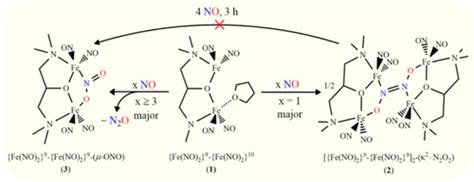 NO Reduction To N2O Triggered By A Dinuclear Dinitrosyl Iron Complex