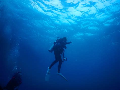 沖縄石垣島 海中のダイバー フリー（無料）写真素材 ダウンロード Blue Green