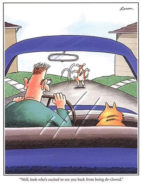 Pin By Michelle Johnson On Gary Larson Far Side Cartoons The Far