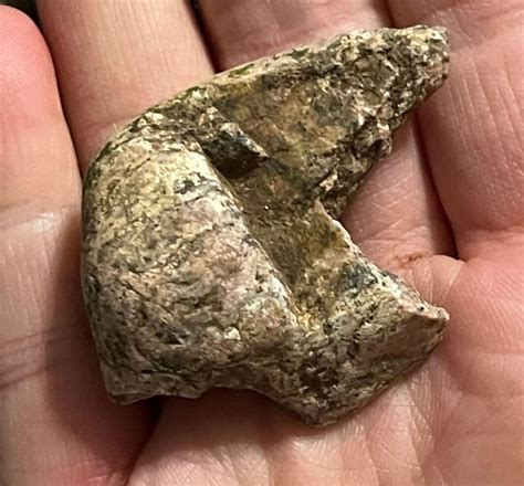 Native American Bird Stone Effigy Stone Tool Relic Artifact Prehistoric