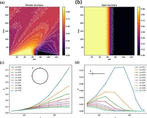 Figure 1 from Measurement induced skin eﬀect and the absence of