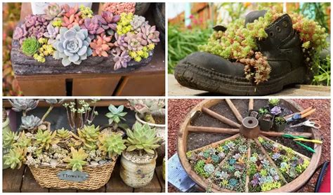 15 Unique and Creative Succulent Planter Ideas - Garden Lovers Club