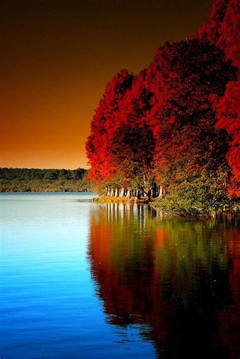 Autumn Sunset With River Glow Beautiful Nature Scenery Nature