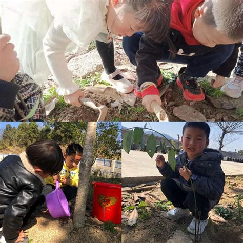 匡河镇石桥铺幼儿园开展植树节主题实践活动 罗田教育信息网