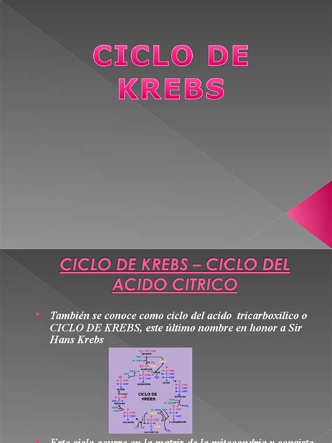 Pdf Qb Ciclo De Krebs Dokumen Tips