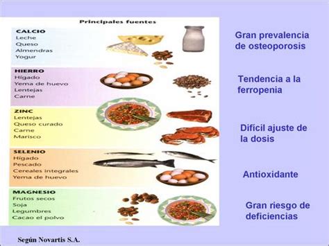 Alimentación y envejecimiento. Parte II: Las fuentes de los principales ...