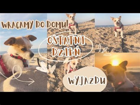 Daily Vlog Ostatni Dzie Naszego Wyjazdu Wracamy Do Domu Vlog Z