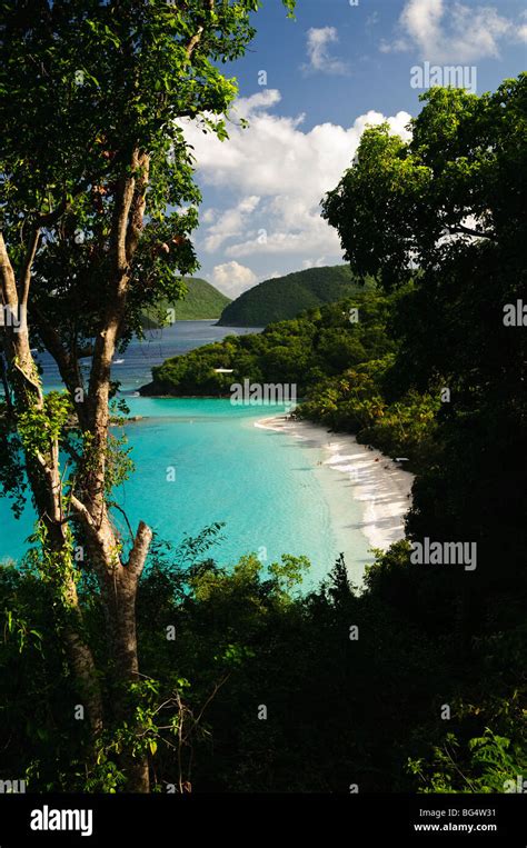 ST JOHN US Virgin Islands Trunk Bay Stock Photo Alamy