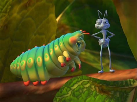 Caterpillar Bugs Life