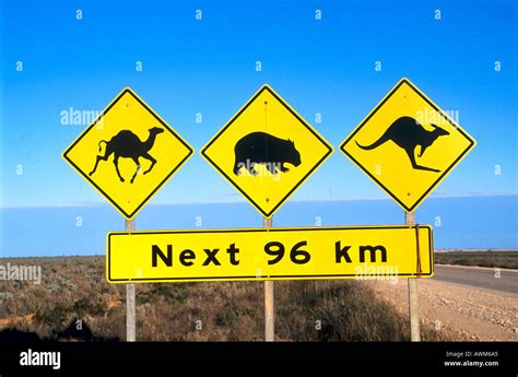 Close-up of animal crossing signs at roadside, Australia Stock Photo ...