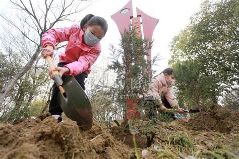 江苏扬州：义务植树为家园添新绿 人民图片网