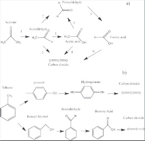 Reaction Pathways Of Photocatalytic A Acetone Oxidation B Toluene Download Scientific