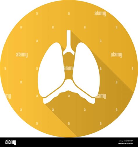 Thoracic Cavity Flat Design Long Shadow Glyph Icon Diaphragm Human