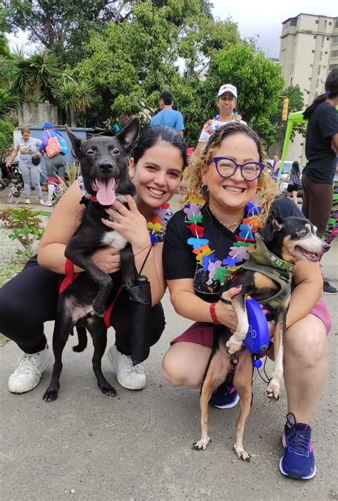 MisiónNevadoVzla on Twitter RT SomosRMNoticias Inicia la Caninata