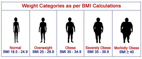 Body Mass Index Bmi