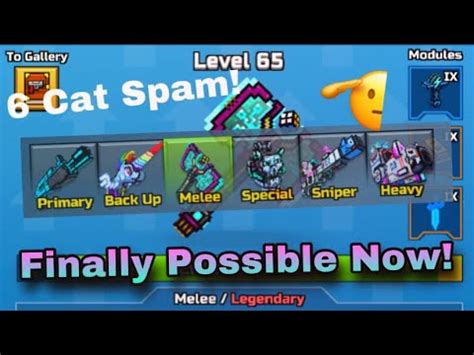 Finally Getting To 6 Cat Spam Full Loadout Terrorz PG3D YouTube