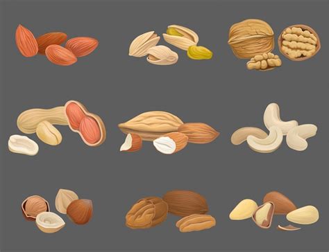 Icônes Définies Avec Différents Types De Noix Noix Pistache Brésil