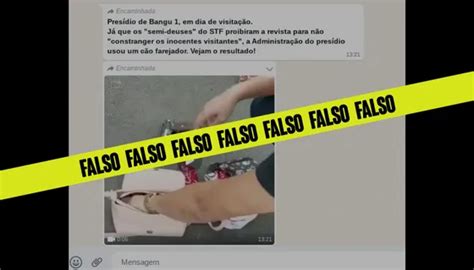 É falso que vídeo mostra apreensão de armas por cão farejador no